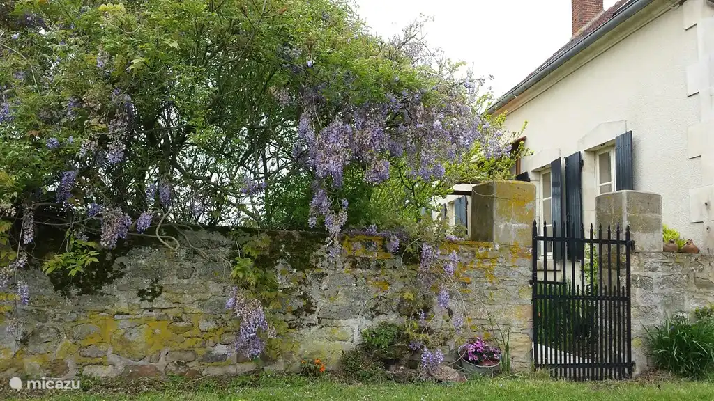 Der Eingang vom Hof aus