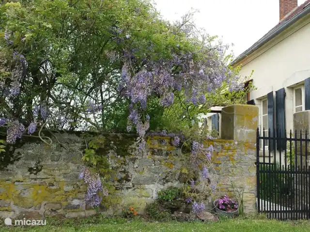 Maison des Cerises / Les Bergeries huren in Frankrijk, Allier, Saint-Bonnet-Tronçais - vakantiehuis De entree, vanuit de binnenplaats