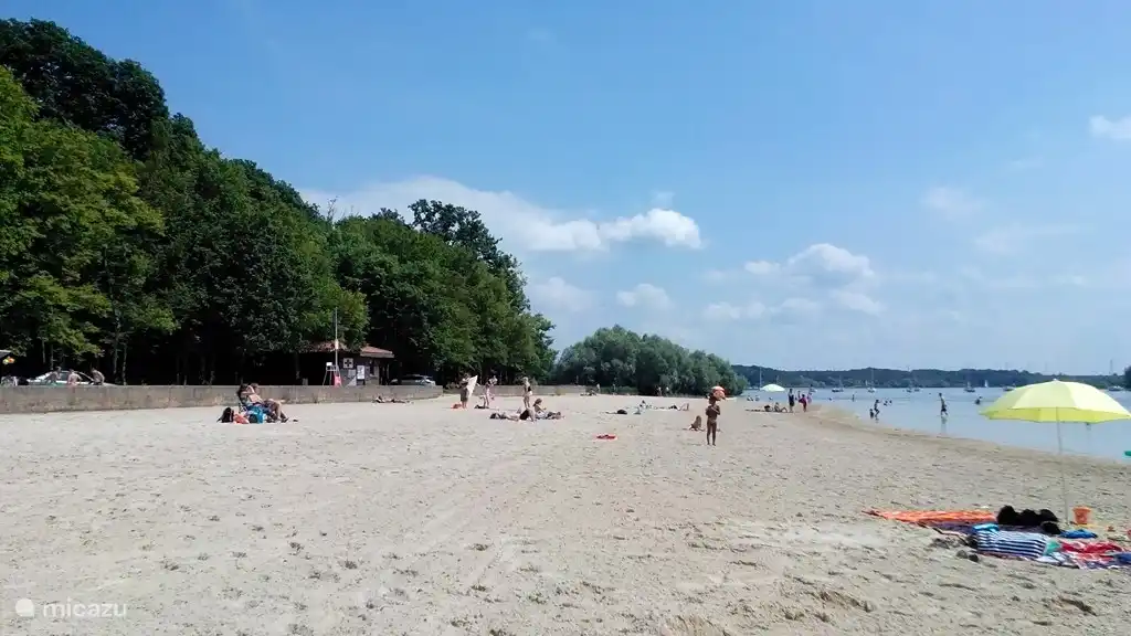 One of the beautiful beaches of the Lac du Der