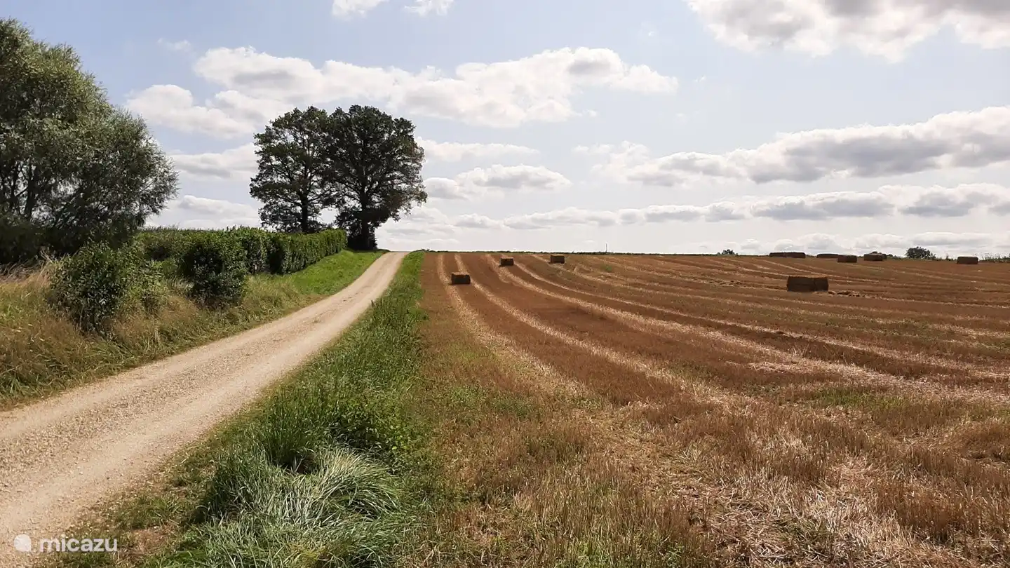 Beautiful country lanes