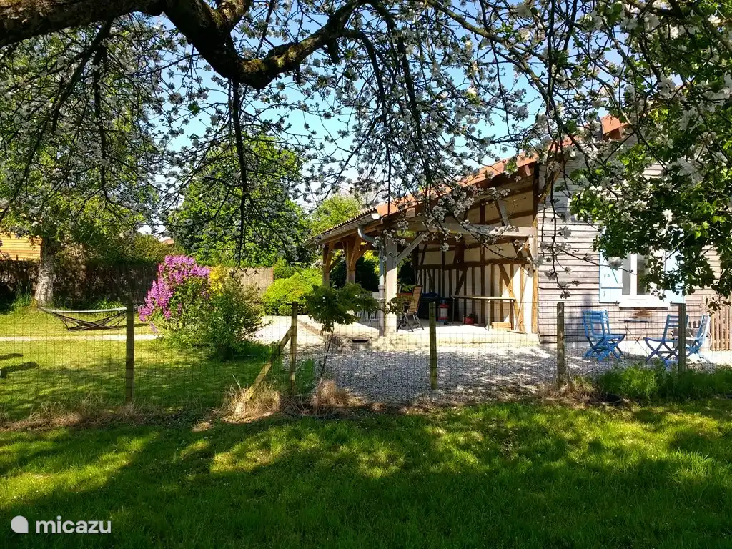 Taken from under a beautiful apple tree. You will receive a bottle of apple juice on arrival!