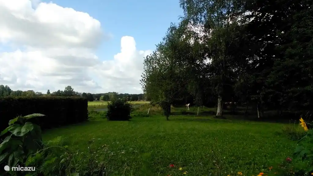 View from the kitchen window