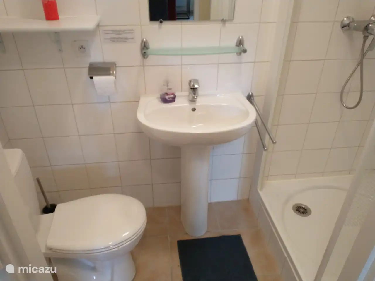 Petite salle de bain avec douche, lavabo et toilettes