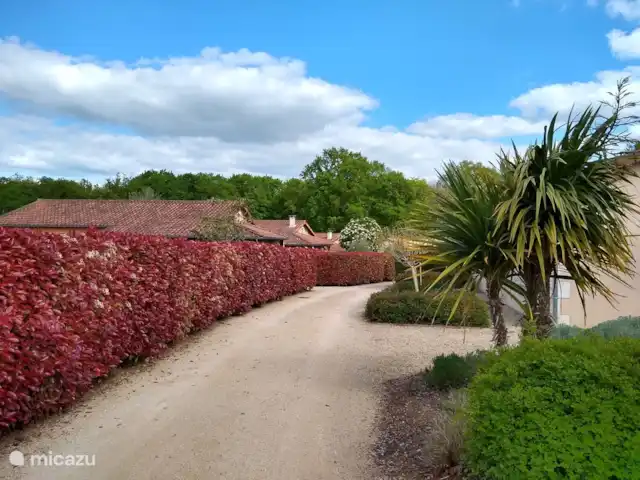 Location de Vacances France, Deux-Sèvres, Les Forges, maison de vacances - Villa Les Bois Senis Le chemin vers notre maison