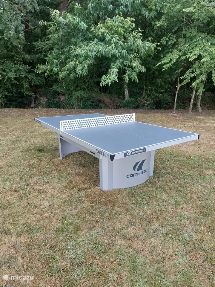 Table de ping-pong