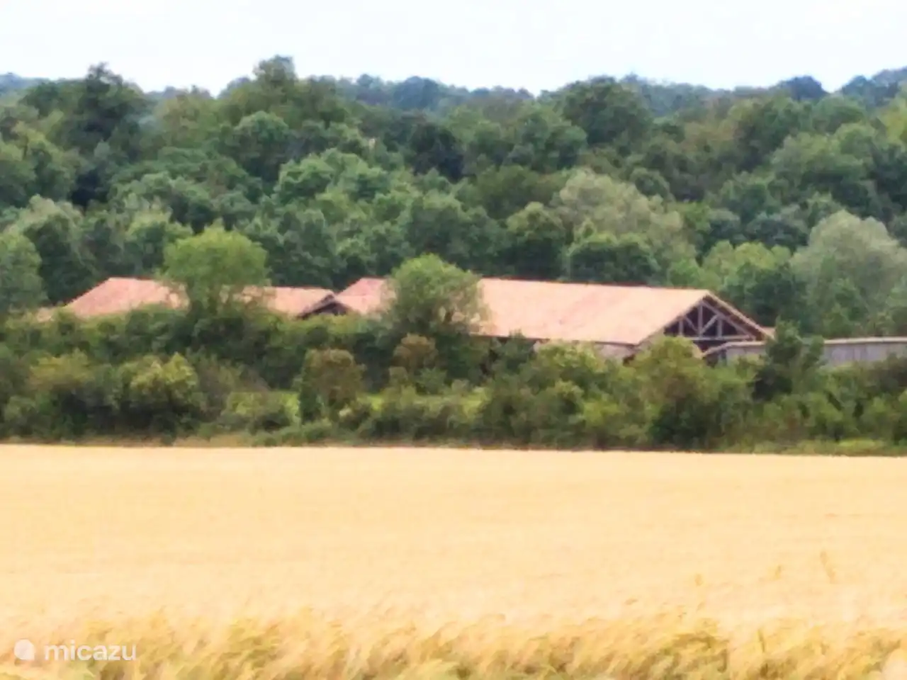 Sanxay, ensemble archéologique bien-être gallo-roman avec musée