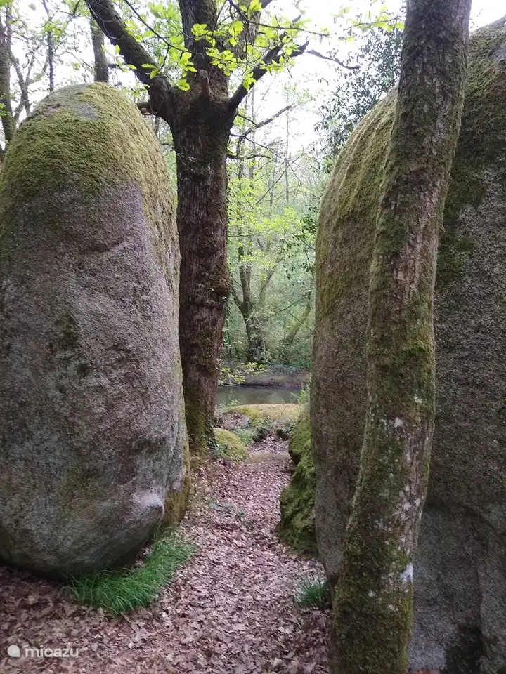 Les Celtes, hautes pierres marchent dans la forêt, sur l'eau