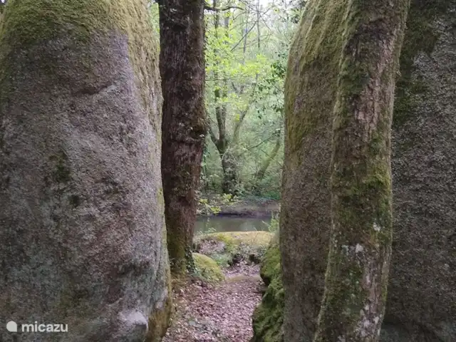 Location de Vacances France, Deux-Sèvres, Les Forges, maison de vacances - Villa Les Bois Senis Les Celtes, hautes pierres marchent dans la forêt, sur l'eau