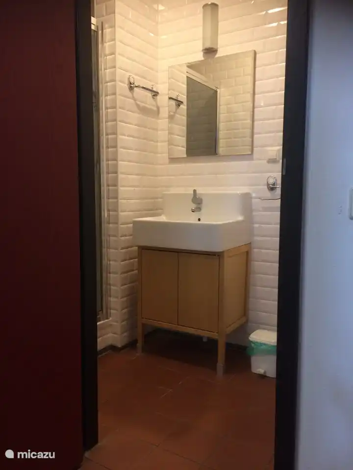 Badezimmer 2 mit Waschbecken, Dusche und WC (Haupthaus)