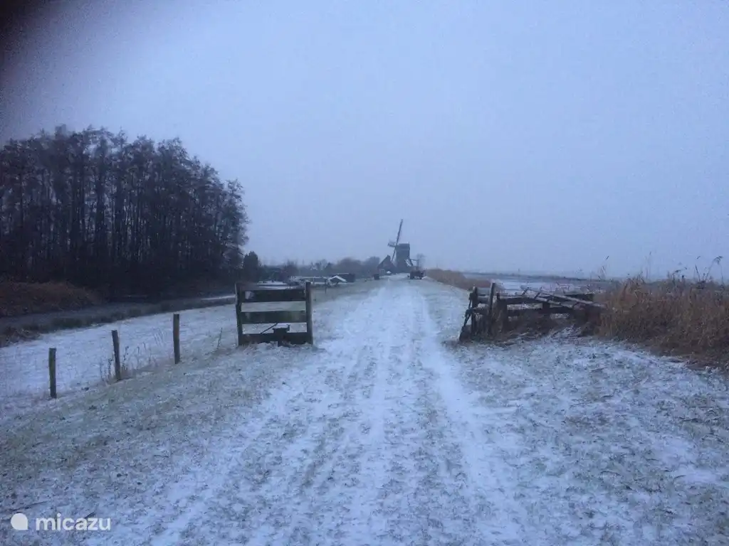 Winterszene Windmühle auf verschneitem Deich