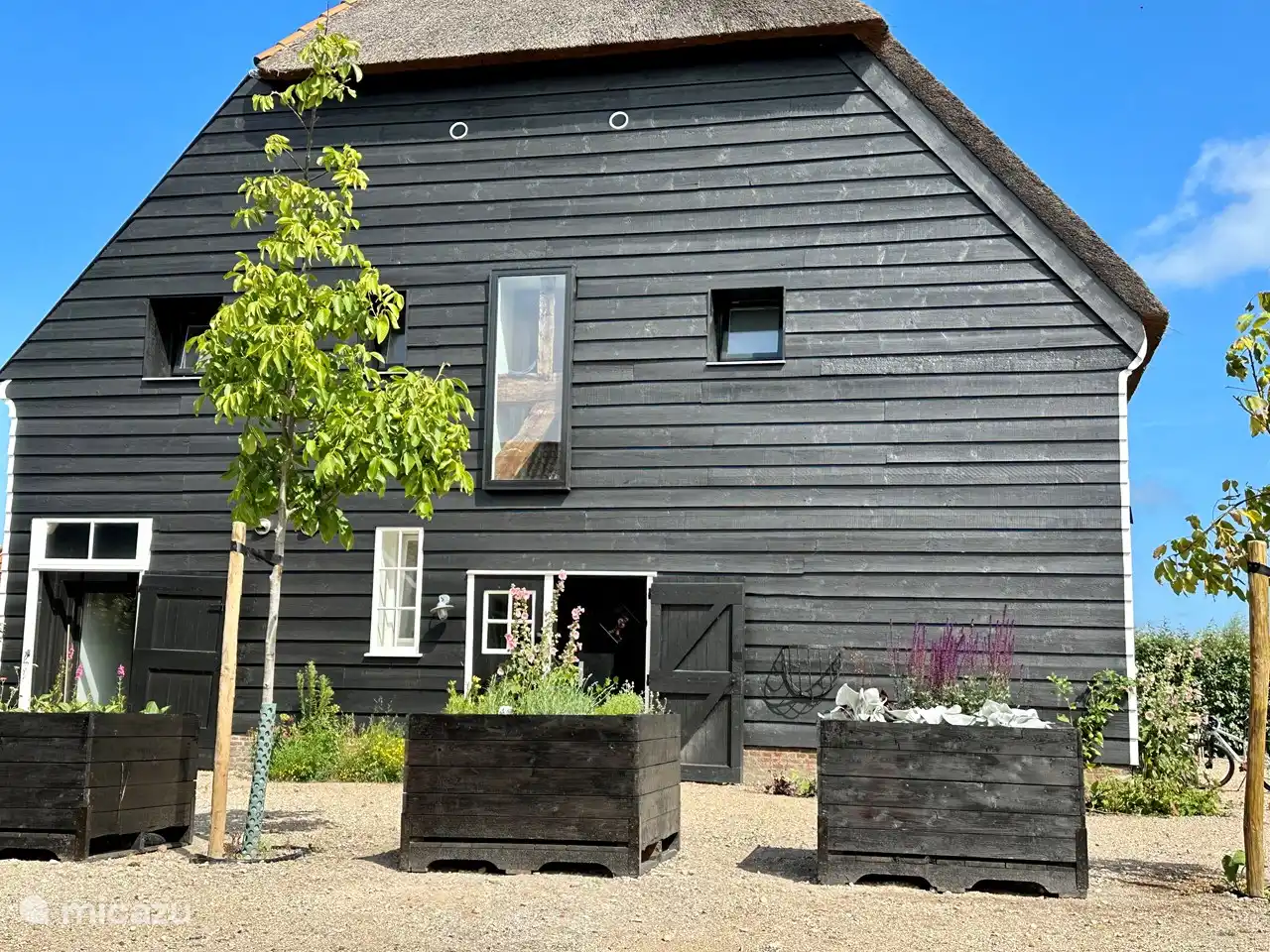 Seitenansicht Beachbarn