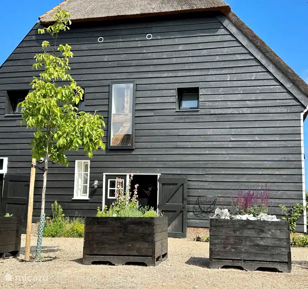Toplocatiezeeland : Beachbarn