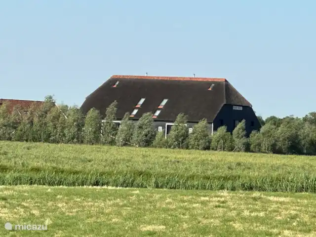 Emplacement privilégié Zélande : Beachbarn | Pays-Bas, Zélande, Oostkapelle - maison de vacances Oostkapelle