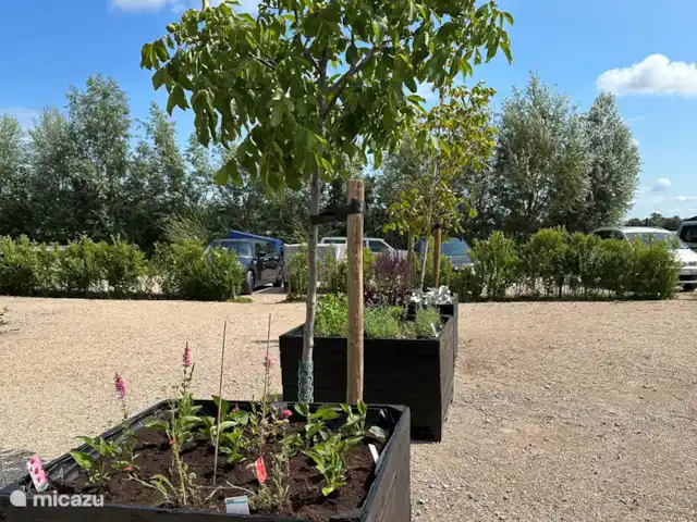 Emplacement privilégié Zélande : Beachbarn | Pays-Bas, Zélande, Oostkapelle - maison de vacances Ferme Plantlust