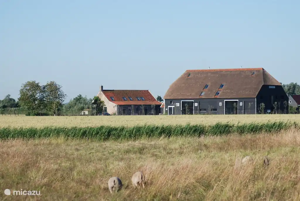 Hoeve Plantlust Scheune links und rechts