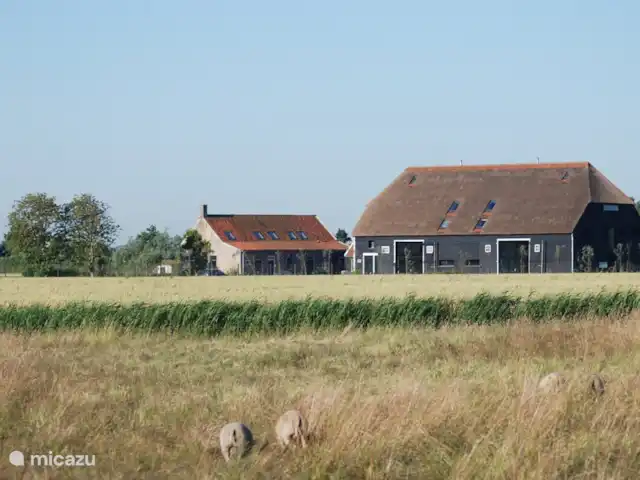 Emplacement privilégié Zélande : Beachbarn | Pays-Bas, Zélande, Oostkapelle - maison de vacances Grange Hoeve Plantlust à gauche et à droite