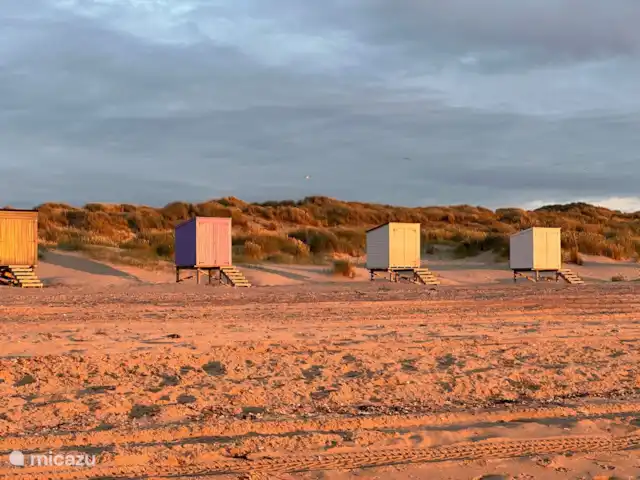 Emplacement privilégié Zélande : Beachbarn | Pays-Bas, Zélande, Oostkapelle - maison de vacances Plage Oostkapelle