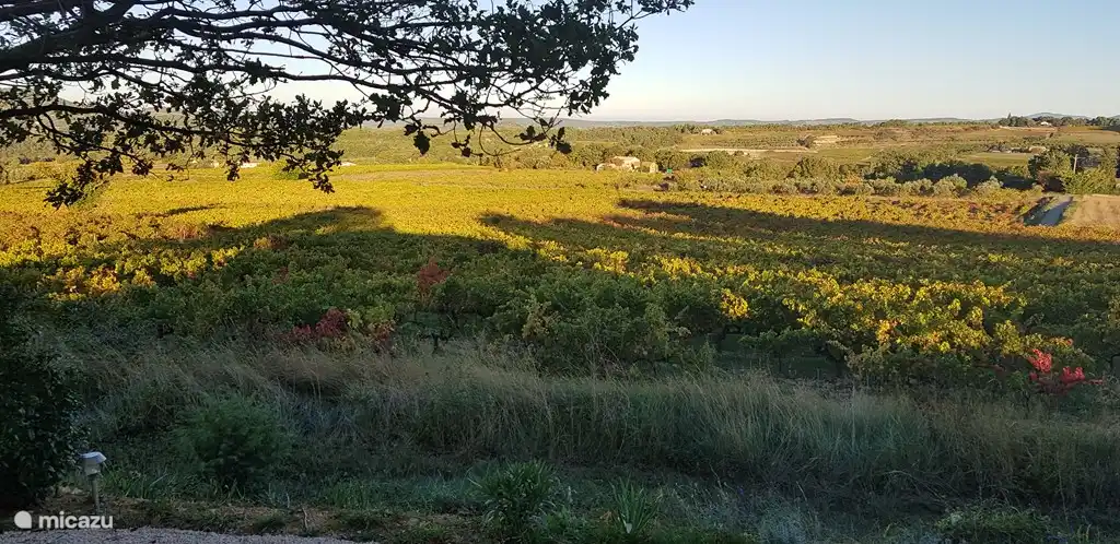 Blick auf die Rückseite des Hauses