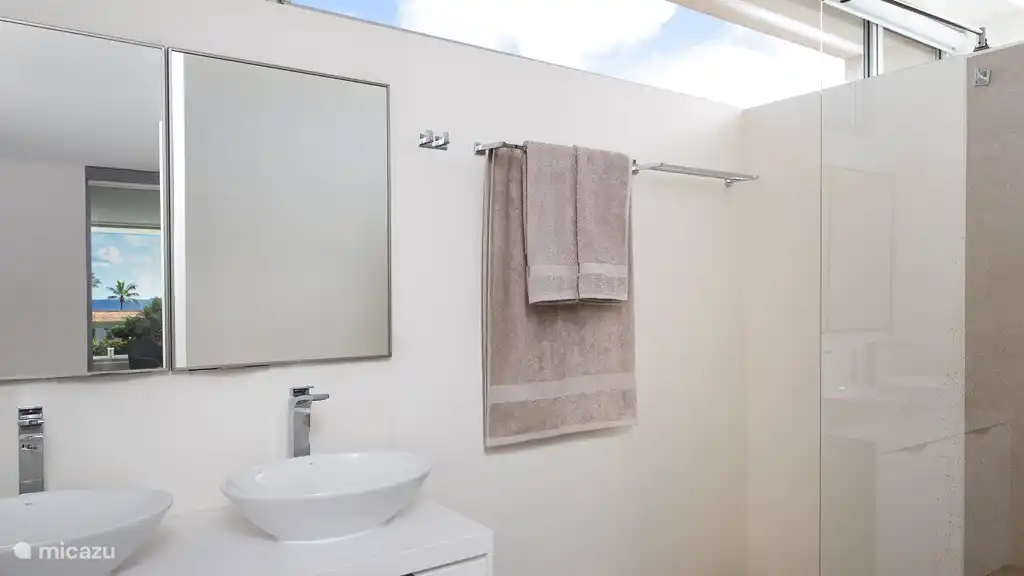 Salle de bain avec armoires à glace, double vasque, douche et toilettes