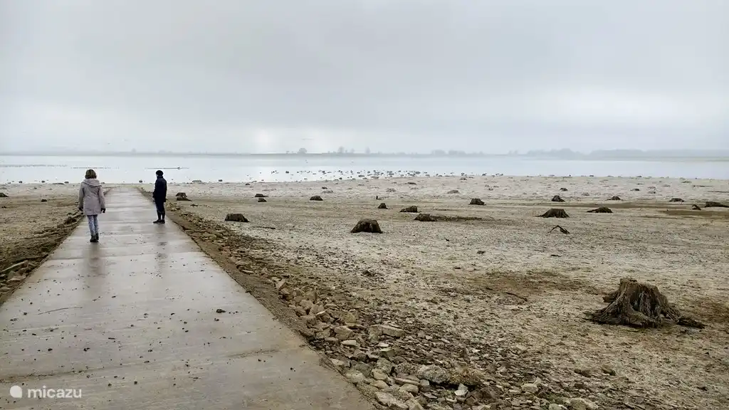 Lac du Der im Januar