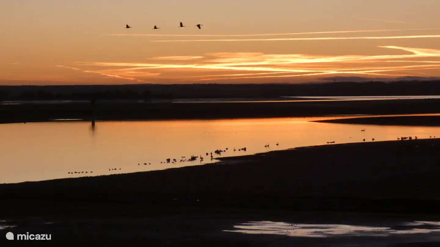 Sonnenaufgang am Lac du der