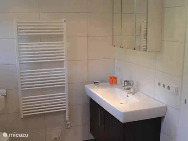 Chalet Hochsonnberg huren in Oostenrijk, Salzburgerland, Walchen (gemeente Piesendorf) - vakantiehuis Badkamer boven.