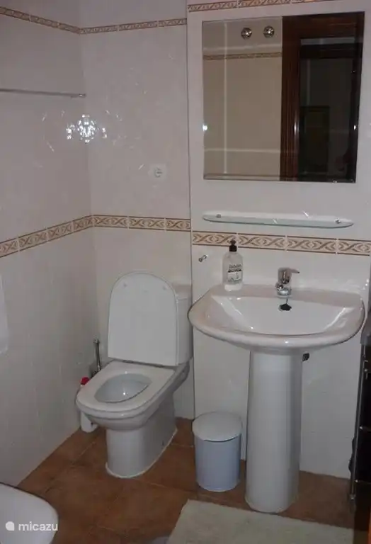 Grande salle de bain confortable avec lavabo, grand miroir, espace bain-douche, WC et bidet.