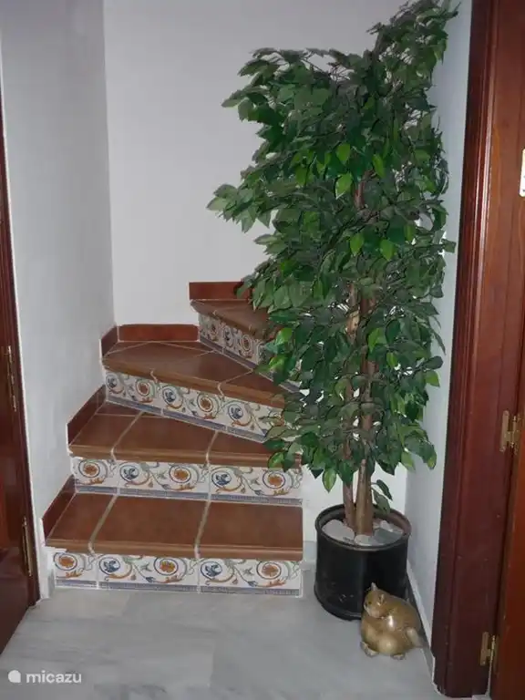 Escaliers espagnols à la terrasse privée sur le toit.