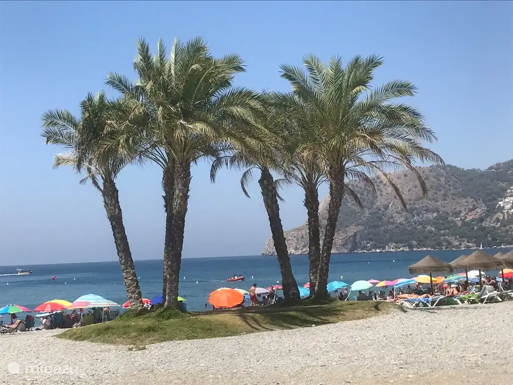 Profitez de la plage. Distance de marche de 350 mètres.....
