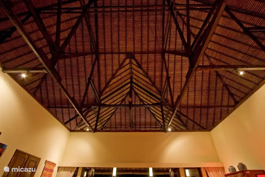 Vista del techo de paja desde la sala de estar