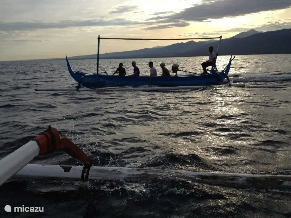 Embárcate en la playa de la villa y luego navega hacia los delfines.