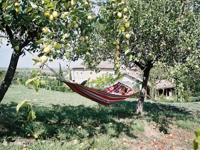 Puechblanc Gîte 'Le Sauvignon' | France, Tarn, Fayssac - gîte / cottage Détendez-vous dans le jardin sous le pommier