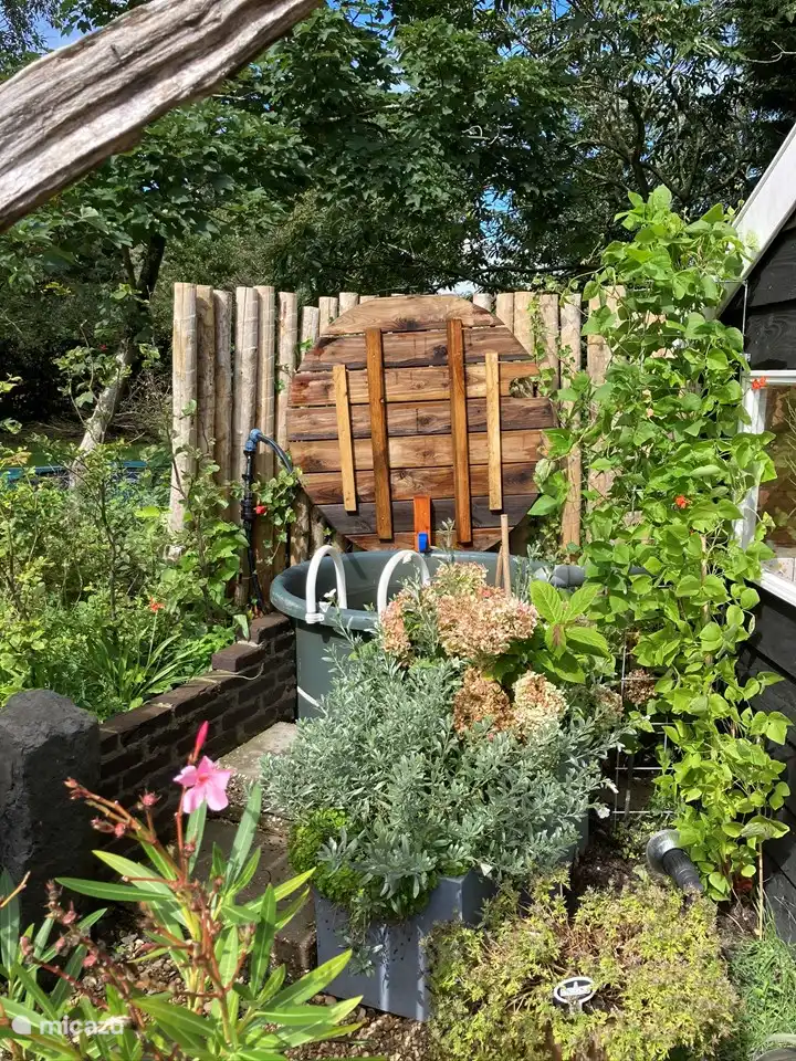 Tauchbecken in der Sauna