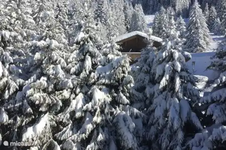 Vakantiehuis Zwitserland, Vaud, Gryon/Villars Sur Ollon penthouse Schuss Uitzicht noord