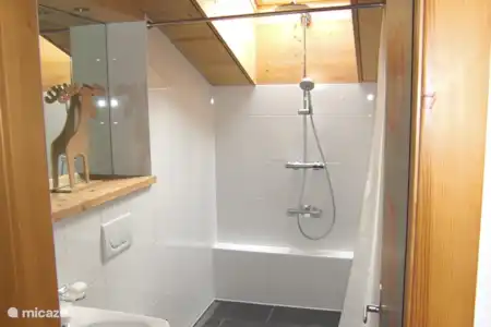 Vakantiehuis Zwitserland, Vaud, Gryon/Villars Sur Ollon penthouse Schuss 1 van de badkamers