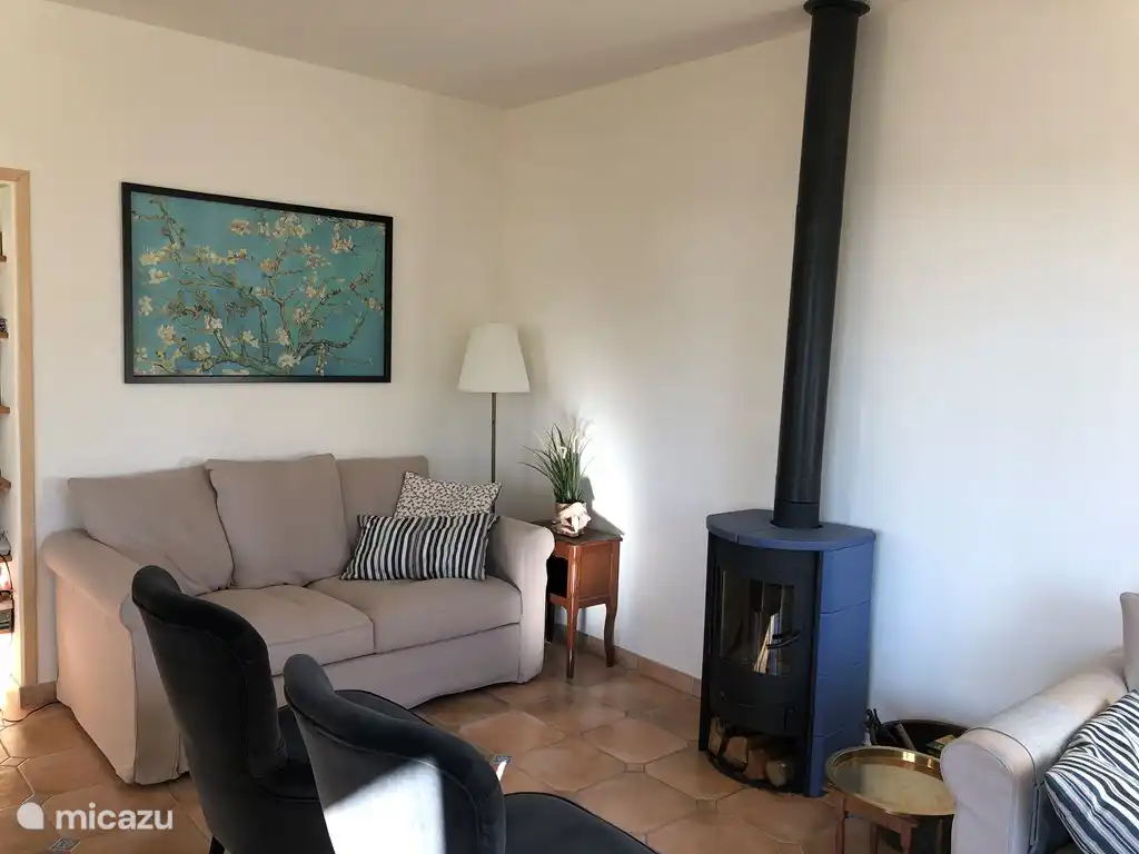 salon avec poêle cheminée