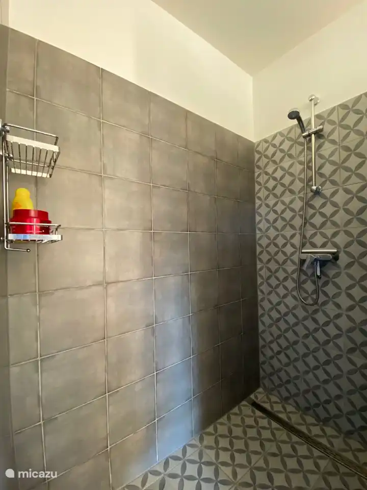 Douche chambre principale 1