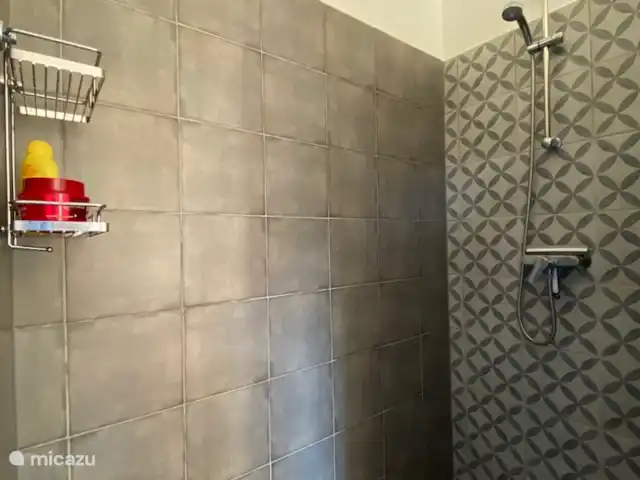 Villa Patrimoine | France, Côte d'Azur, Les Issambres - villa Douche chambre principale 1
