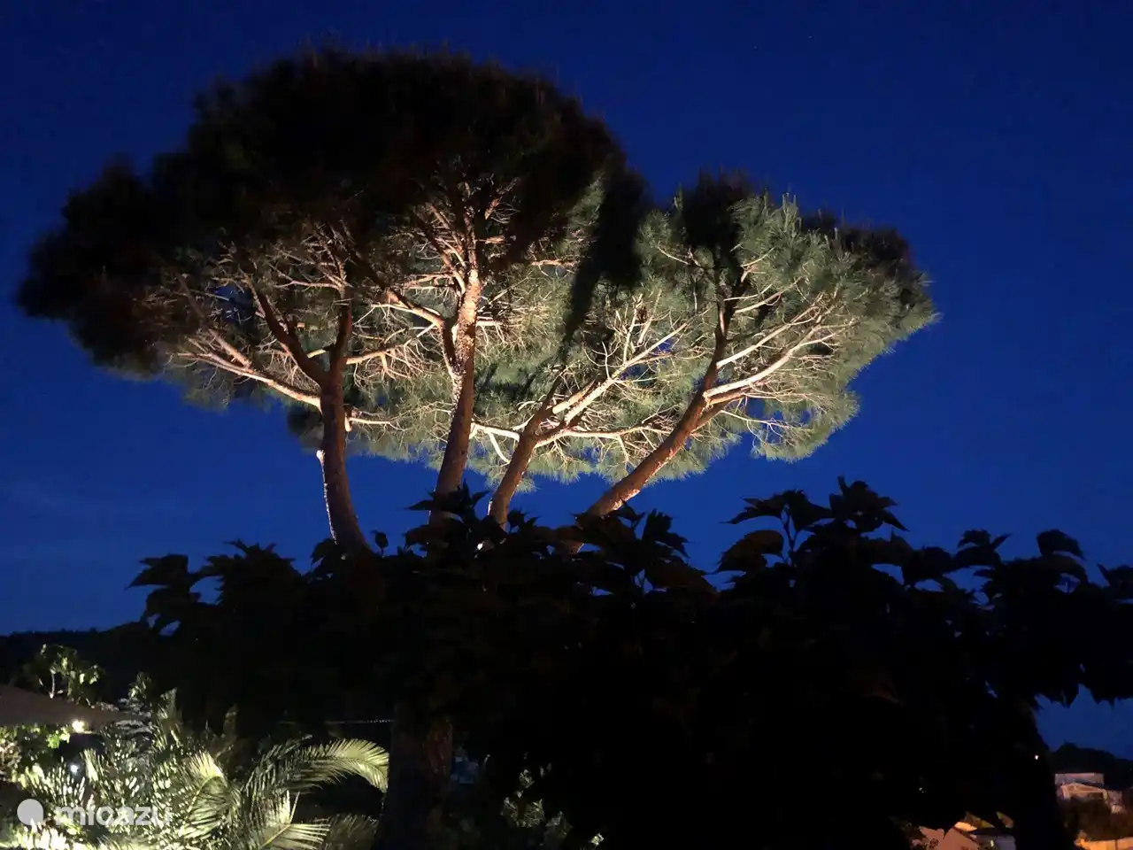 Éclairage de jardin de conte de fées