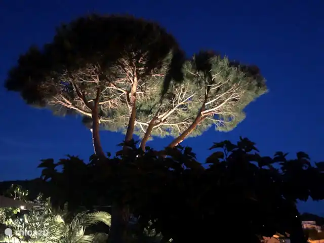 Villa Patrimoine | France, Côte d'Azur, Les Issambres - villa Éclairage de jardin de conte de fées