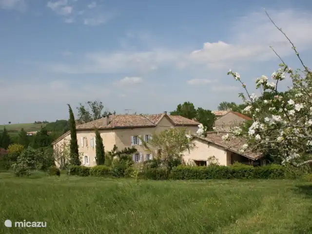 Le Syrah et Le Mauzac | France, Tarn, Fayssac - gîte / cottage Notre domaine PuechBlanc