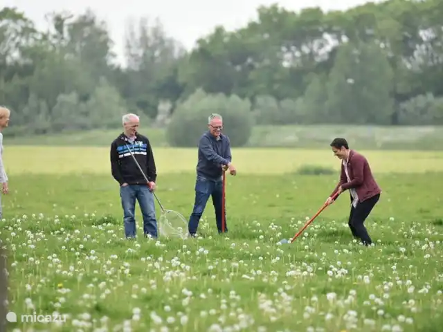 Gîte de groupe le Blikvaart | Pays-Bas, Frise, Sint Annaparochie - maison de vacances Vague de bricolage