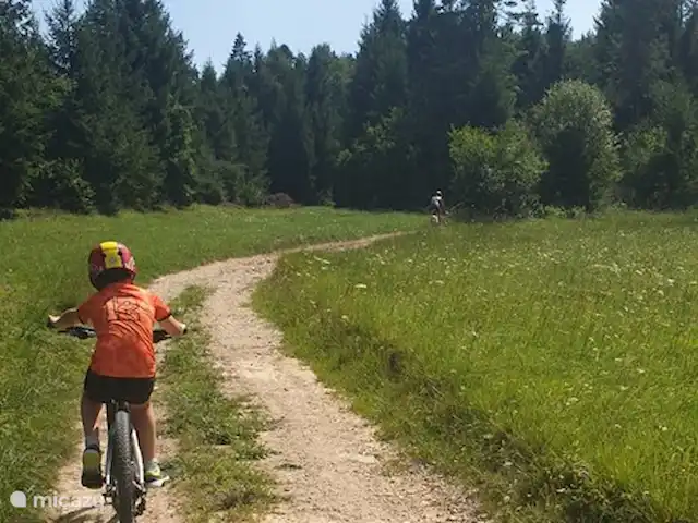 vakantiehuis huren in Slovenië, Notranjska, Cerknica – Vakantiehuis Tabor 43 - Mima Fietsen en mountainbiken op de gravelwegen.