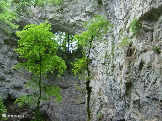 vakantiehuis huren in Slovenië, Notranjska, Cerknica – Vakantiehuis Tabor 43 - Mima De ingestorte grot van Rakov Skocjan.