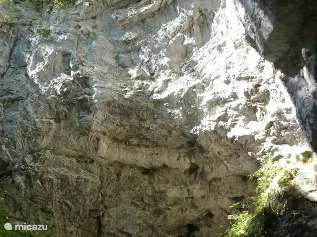 vakantiehuis huren in Slovenië, Notranjska, Cerknica – Vakantiehuis Tabor 43 - Mima De ingestorte grot van Rakov Skocjan.