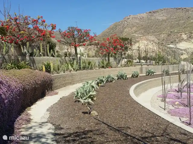 Casa El Arenal | Espagne, Costa de Almeria, Níjar - villa cactus Nijar.