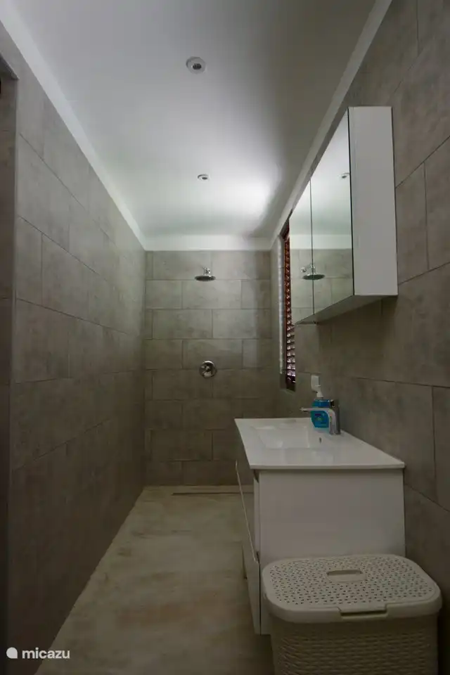 Salle de bain privée de la chambre principale #1