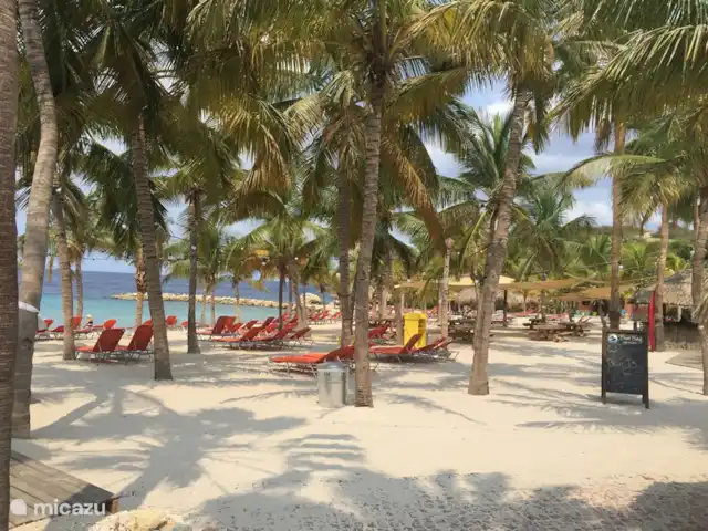 Villa Supérieure Plage Blue Bay | Curaçao, Curaçao-Centre, Blue Bay - villa Blue Bay Beach est une belle plage de sable blanc bordée de cocotiers. Il y a un joli restaurant bistro/grill et un bar de plage cosy !