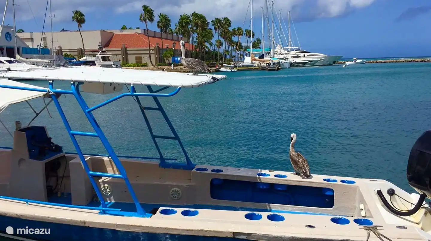 Impression Oranjestad