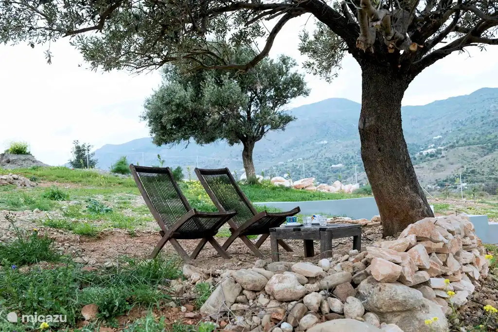 Knus zitje onder de olijfboom, helemaal aan de top van onze heuvel